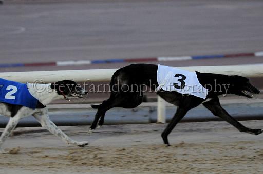 mayaction_731.JPG - (C)S.FARNDON