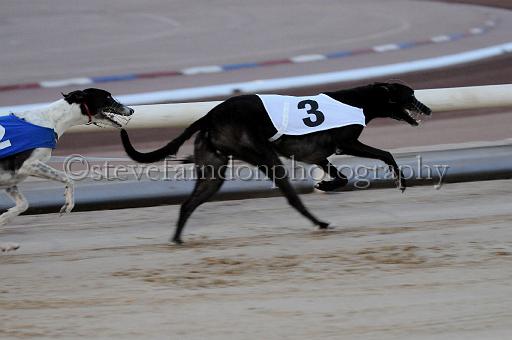 mayaction_732.JPG - (C)S.FARNDON
