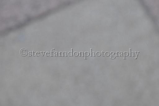 mayaction_733.JPG - (C)S.FARNDON