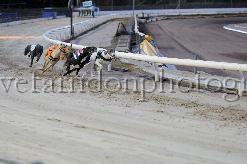 mayaction_734.JPG - (C)S.FARNDON