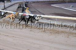 mayaction_735.JPG - (C)S.FARNDON