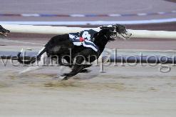 mayaction_739.JPG - (C)S.FARNDON