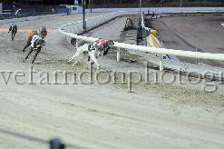 mayaction_741.JPG - (C)S.FARNDON