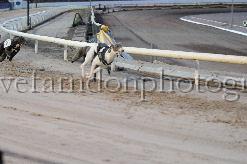 mayaction_742.JPG - (C)S.FARNDON