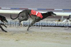 mayaction_743.JPG - (C)S.FARNDON