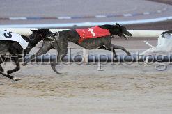 mayaction_744.JPG - (C)S.FARNDON