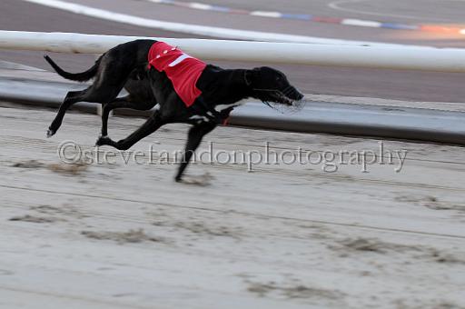 mayaction_752.JPG - (C)S.FARNDON