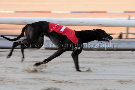 mayaction_753.JPG - (C)S.FARNDON