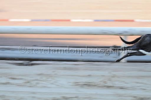 mayaction_754.JPG - (C)S.FARNDON