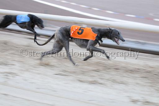 mayaction_761.JPG - (C)S.FARNDON