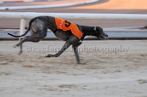 mayaction_763.JPG - (C)S.FARNDON