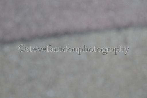 mayaction_764.JPG - (C)S.FARNDON