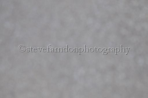 mayaction_774.JPG - (C)S.FARNDON
