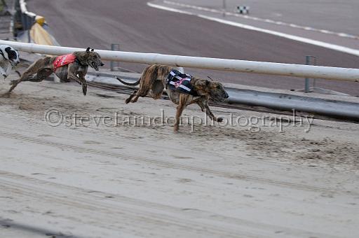 mayaction_776.JPG - (C)S.FARNDON