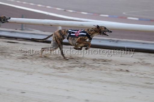 mayaction_777.JPG - (C)S.FARNDON