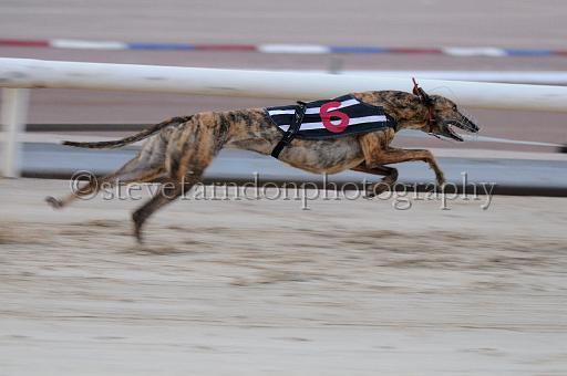 mayaction_779.JPG - (C)S.FARNDON