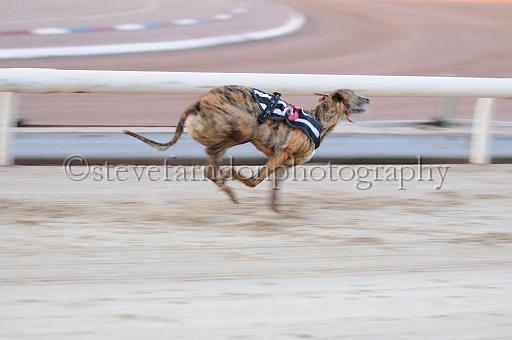 mayaction_780.JPG - (C)S.FARNDON