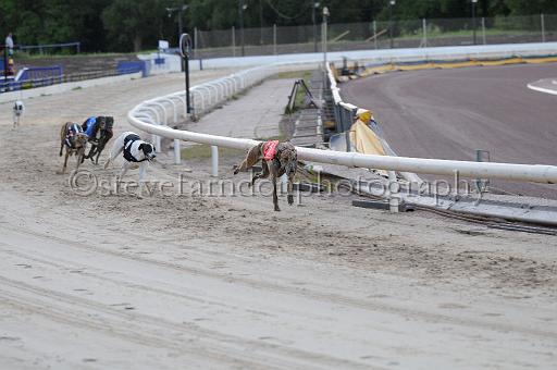 mayaction_781.JPG - (C)S.FARNDON