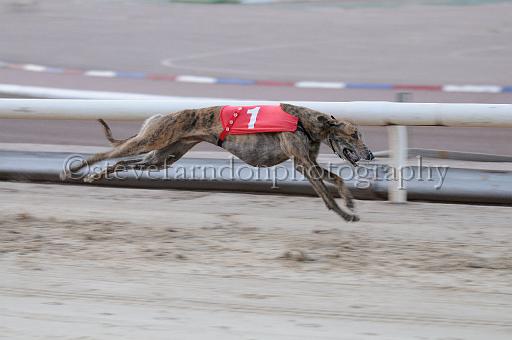 mayaction_785.JPG - (C)S.FARNDON