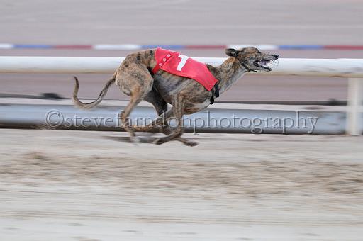 mayaction_786.JPG - (C)S.FARNDON
