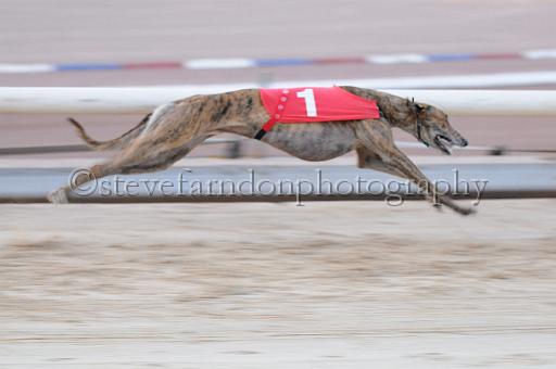 mayaction_787.JPG - (C)S.FARNDON