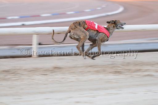 mayaction_788.JPG - (C)S.FARNDON