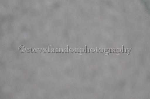 mayaction_789.JPG - (C)S.FARNDON