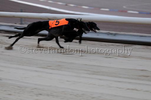 mayaction_792.JPG - (C)S.FARNDON