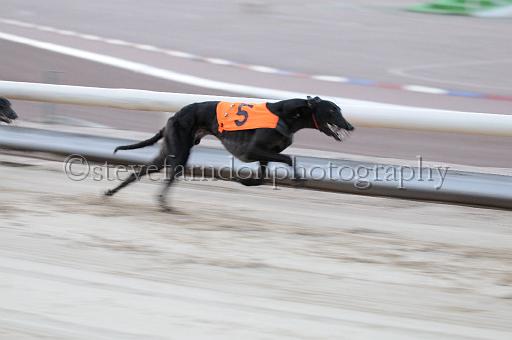 mayaction_795.JPG - (C)S.FARNDON