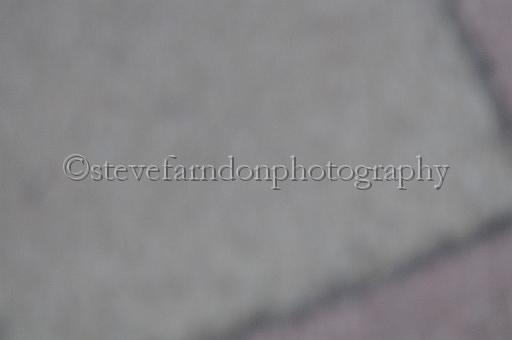 mayaction_796.JPG - (C)S.FARNDON