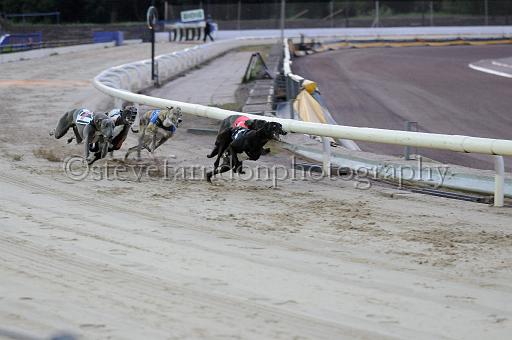 mayaction_797.JPG - (C)S.FARNDON