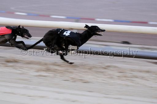 mayaction_800.JPG - (C)S.FARNDON