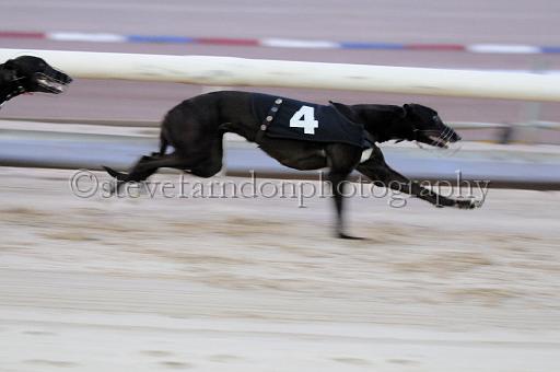 mayaction_801.JPG - (C)S.FARNDON