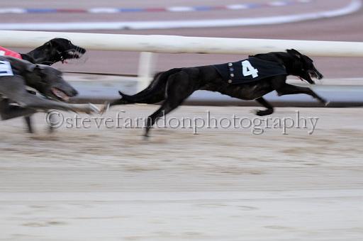 mayaction_802.JPG - (C)S.FARNDON