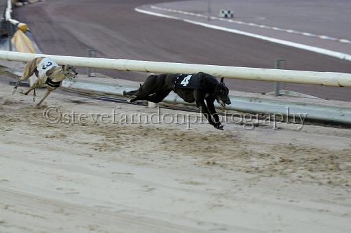 mayaction_804.JPG - (C)S.FARNDON