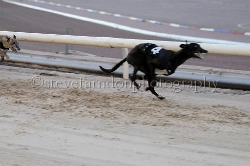 mayaction_805.JPG - (C)S.FARNDON