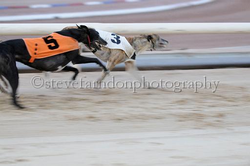 mayaction_808.JPG - (C)S.FARNDON