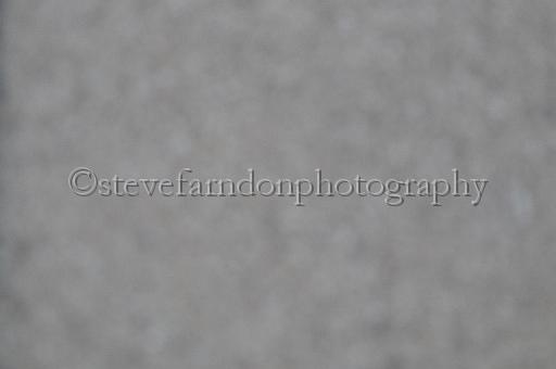 mayaction_809.JPG - (C)S.FARNDON