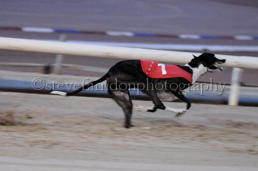 mayaction_814.JPG - (C)S.FARNDON