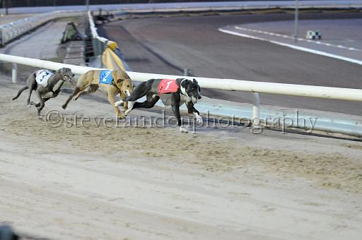 mayaction_816.JPG - (C)S.FARNDON