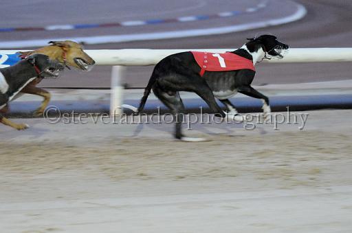 mayaction_822.JPG - (C)S.FARNDON