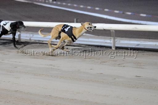 mayaction_825.JPG - (C)S.FARNDON