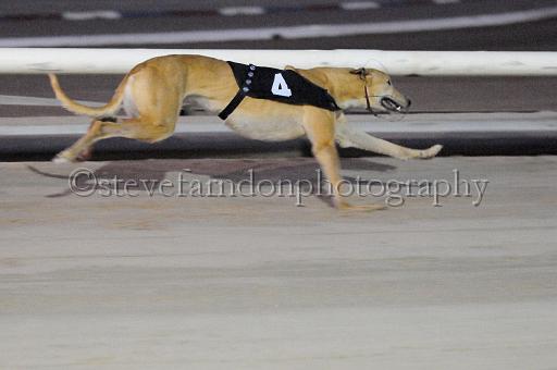 mayaction_828.JPG - (C)S.FARNDON