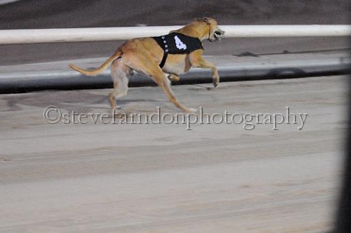 mayaction_829.JPG - (C)S.FARNDON