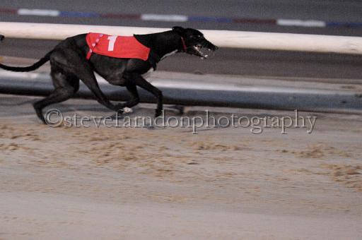 mayaction_834.JPG - (C)S.FARNDON