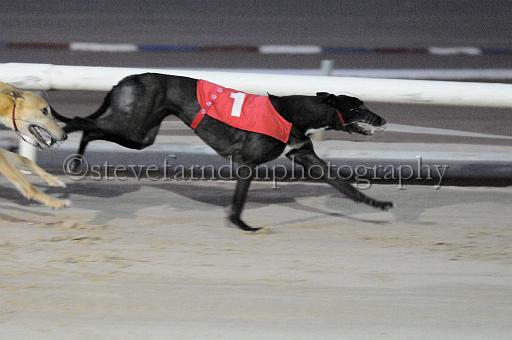 mayaction_835.JPG - (C)S.FARNDON