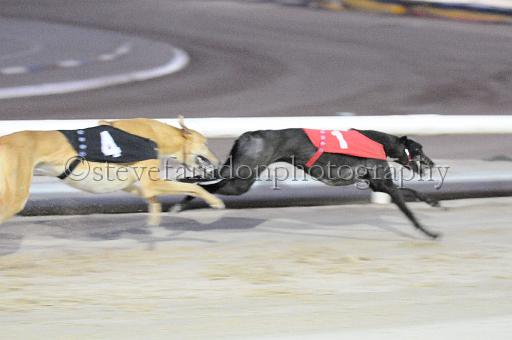 mayaction_836.JPG - (C)S.FARNDON