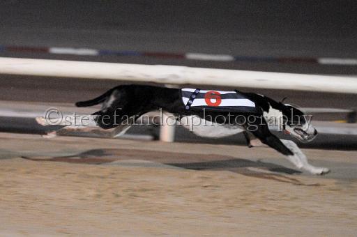 mayaction_840.JPG - (C)S.FARNDON