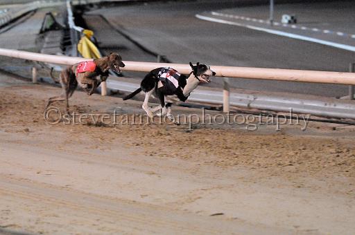 mayaction_844.JPG - (C)S.FARNDON