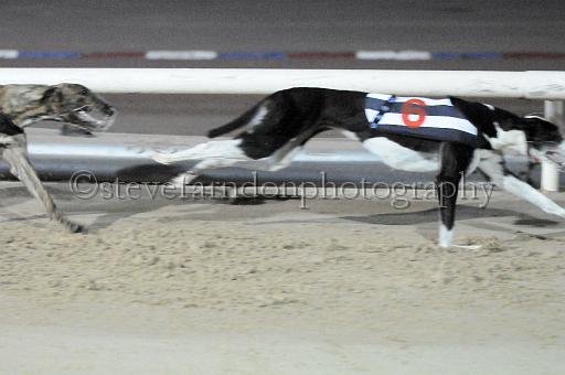 mayaction_847.JPG - (C)S.FARNDON
